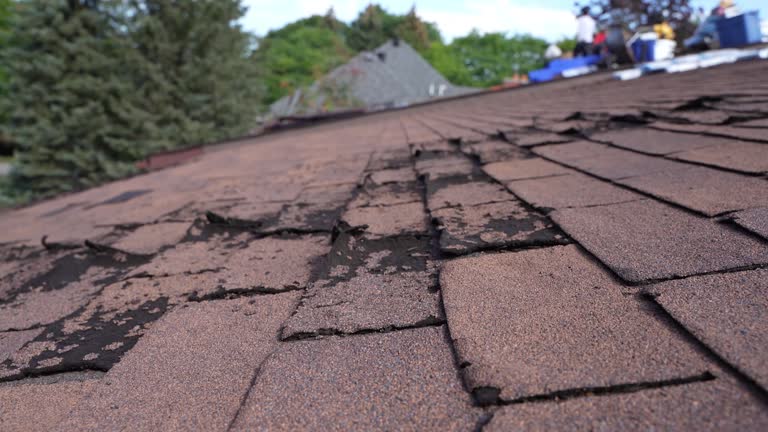 Best Emergency Roof Repair Services  in USA